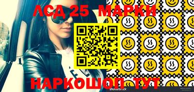 стаф Бийск
