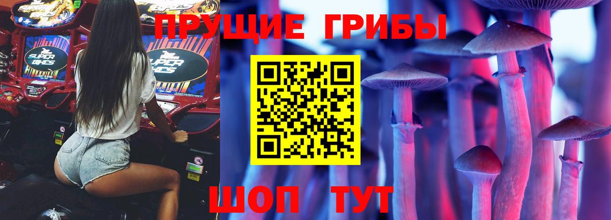 Псилоцибиновые грибы Cubensis Белая Калитва