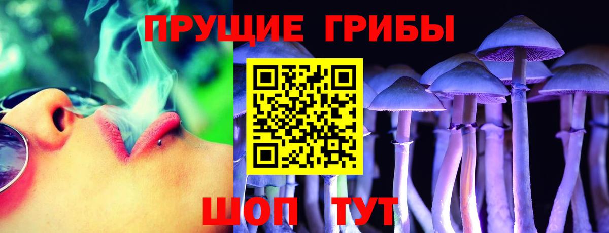 сколько стоит  Галлюциногенные грибы прущие грибы  Вход с VPN  Белая Калитва 